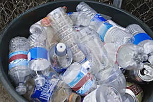 Plastic Bottles In Bin