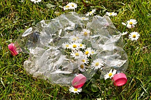 Plastic bottles in environment