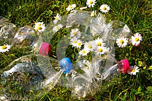 Plastic bottles in environment