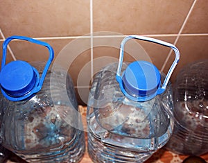 Plastic bottles filled with water