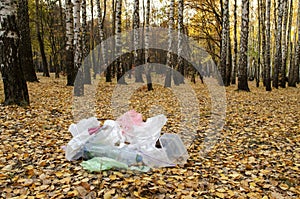Plastic bottles and garbage left in autumn forest.Pollution of nature. Ecological problems concept