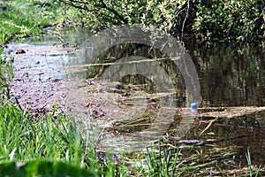 Plastic bottles in a littered river.