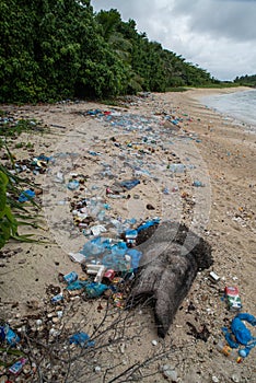 Plastic bottles and plastic bags and all sorts of garbage at the beach near ocean at the tropical island