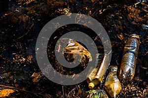 Plastic bottles polluting a lake in the forest
