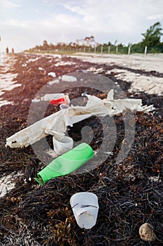 Plastic Bottles Pollution and Seaweeds on Sandy Caribbean Beach
