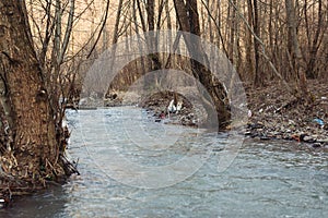 Plastic bottles and trash in the river water. Environmental pollution. Rubbish and waste. Plastic and trash pollution at nature