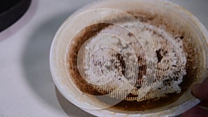 plastic bowl abandoned in a vase with stagnant water inside. close up view. mosquitoes in potential breeding ground