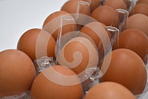 Plastic box of brown eggs photo