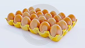 plastic box for eggs with egss isolated on white,