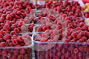Plastic boxes full of red ripe raspberries on a table