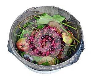 Plastic bucket with  organic fruits and vegetable waste  isolated