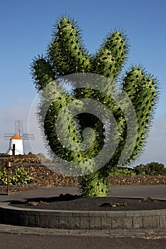 Plastic cactus windmills in isle of lanzarote