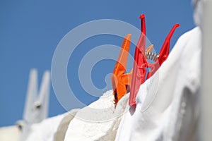 Plastic colored clips