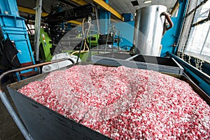 Plastic colored granulated crumb at the plant for processing and