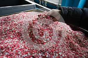 Plastic colored granulated crumb at the plant for processing and