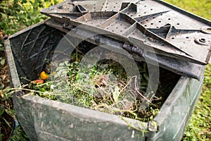 Plastic composter in a garden