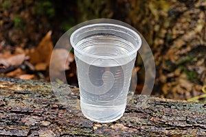 Plastic cup with water on a wooden log