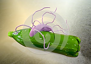 Plastic-degrading bacteria Ideonella sakaiensis