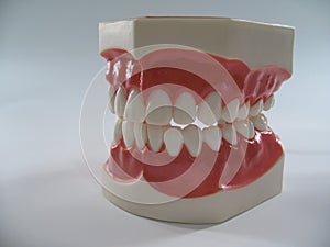 Plastic dental teeth