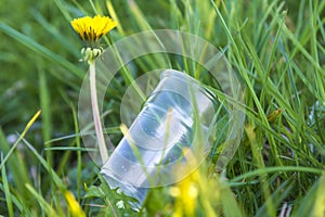 A plastic disposable Cup was thrown into the grass. Pollution of nature. Environmental protection. The idea of the danger of