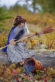 Plastic doll, polymer clay, witch with a broom in the forest