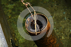 Plastic drain pipe through which apparently clean water flows photo