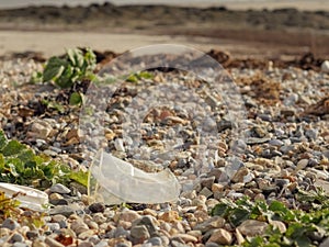 Plastic drink cup and lid on a beach.
