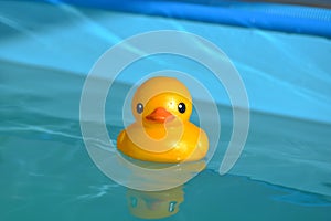 Plastic duck