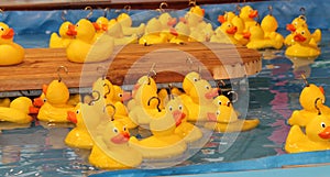 Plastic Ducks.