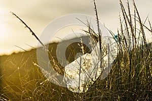 Plastic empty water bottle abandoned on nature