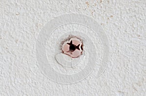 Plastic expansion wall plug