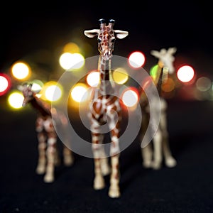 Plastic figurines of giraffes in a savannah-like environment at night