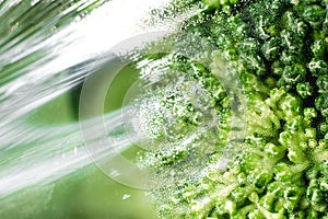 Plastic film wrap protect for Broccoli vegetable by plastic wrap