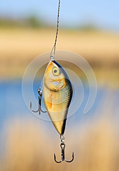 Plastic fishing lure (wobbler)