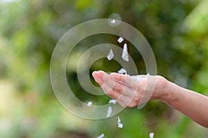 Plastic flakes sprinkled on hands