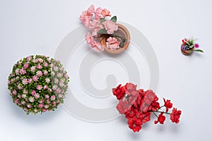 Plastic Flower decaration on withe background