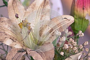 Plastic flowers in a basket on old wooden floor.