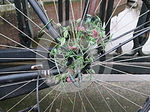 plastic flowers on a bicycle wheel