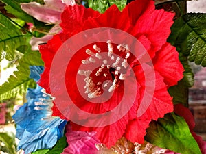 plastic flowers for decoration