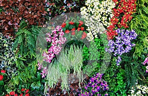 Plastic flowers and leaves are beautifully decorated on the walls of the house