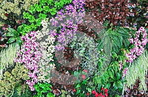 Plastic flowers and leaves  on the walls of the house