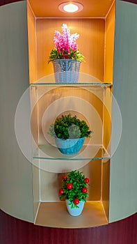 Plastic flowers are used as decoration in office rooms