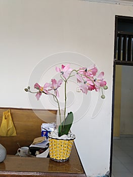 Plastic flowers and vases in the workspace