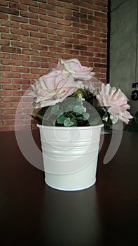 Plastic flowers on white pots