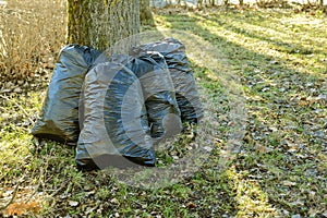 Plastic garbage bags