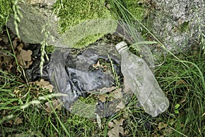 Plastic garbage in the forest