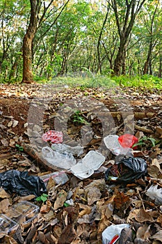 Plastic garbage on the forest. Environmental pollution concept