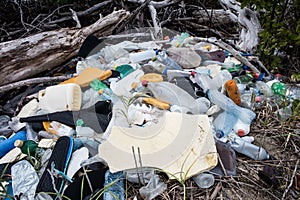 Plastic Garbage in Mangrove Forest