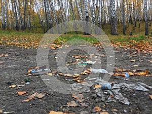 Plastic and glass in the forest, in the lake, garbage in nature, ecology in danger