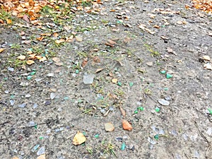 Plastic and glass in the forest, in the lake, garbage in nature, ecology in danger